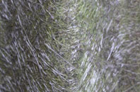 Great Hinton fibreglass roof work